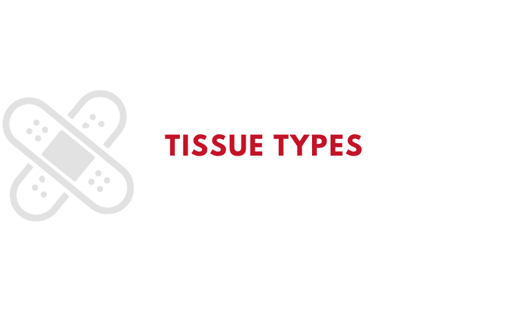 Tissue Types Infographic