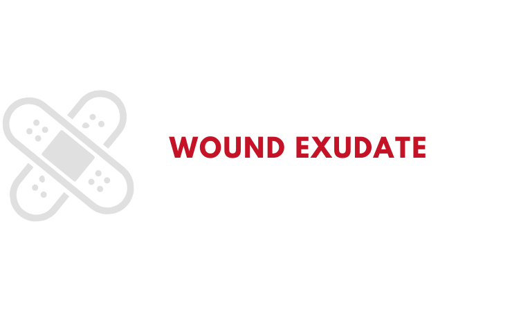 Wound Exudate Infographic