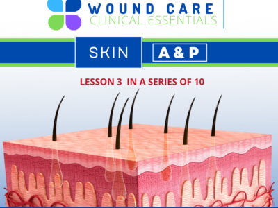 Wound Care Clinical Essentials:  Skin A & P